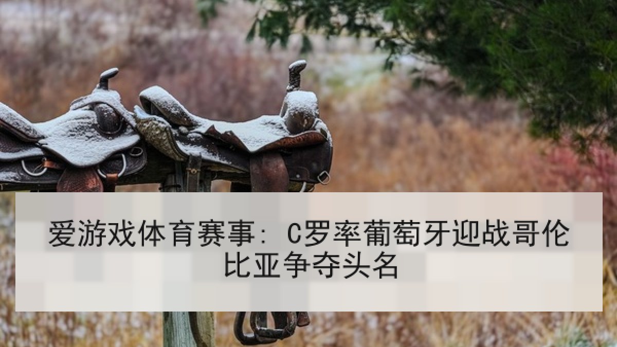 爱游戏体育赛事: C罗率葡萄牙迎战哥伦比亚争夺头名